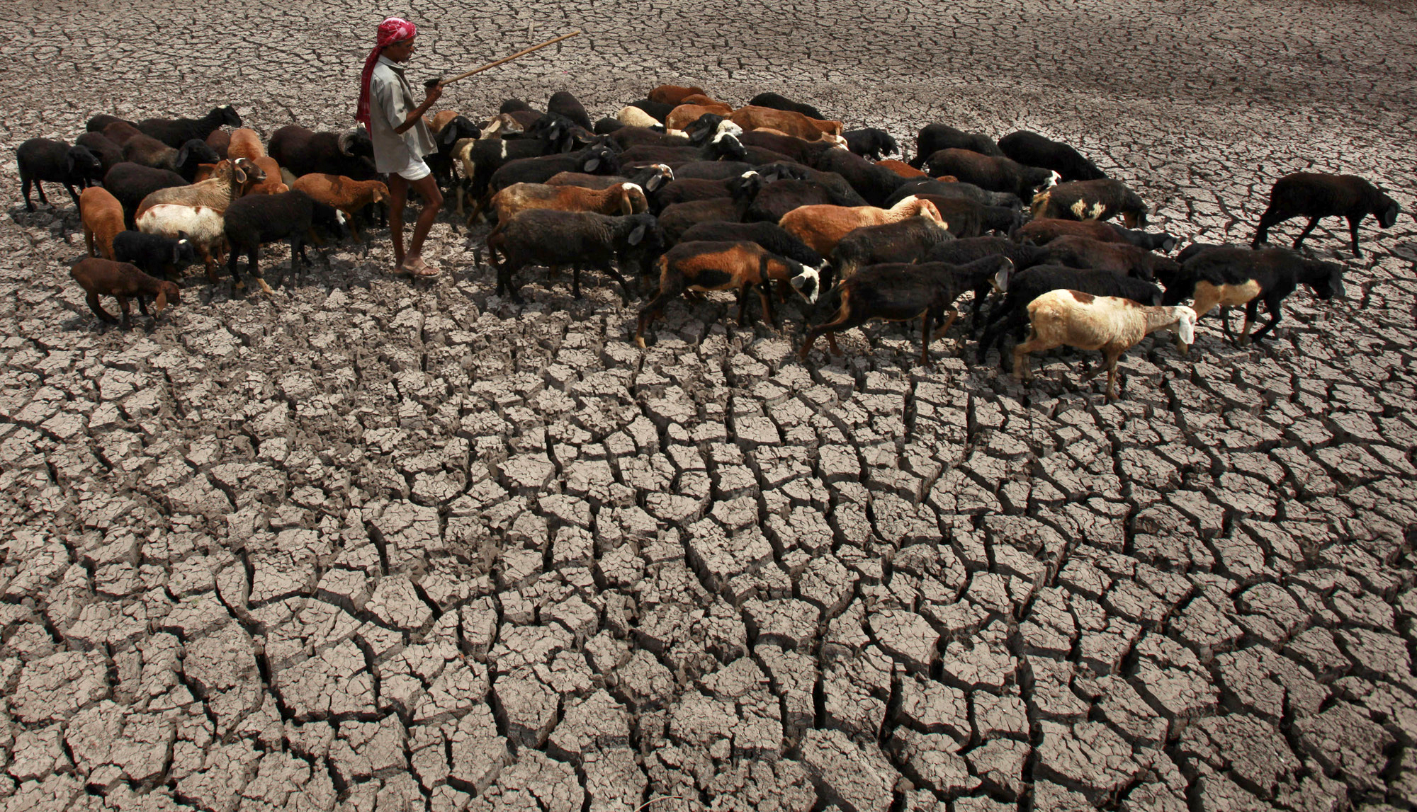 AP FACT CHECK: 11 Trump climate goofs and 1 correct claim