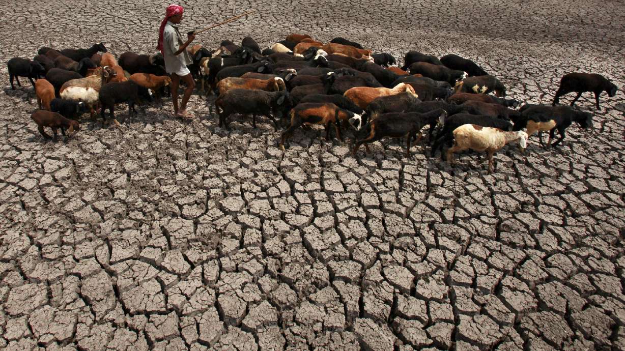 AP FACT CHECK: 11 Trump climate goofs and 1 correct claim