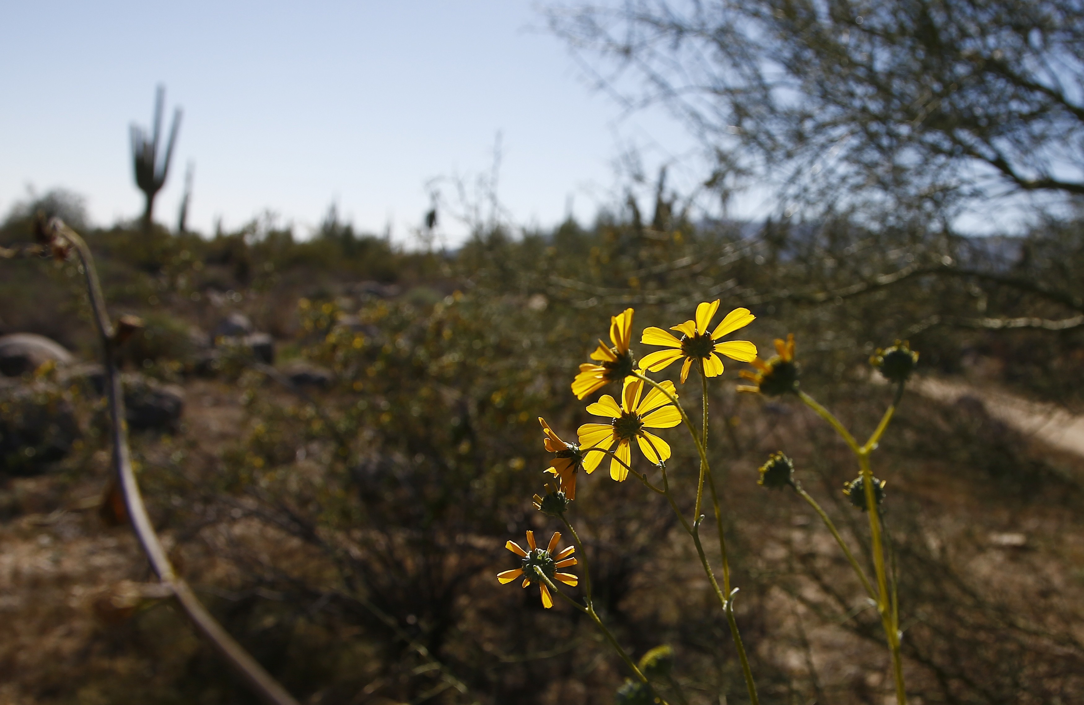 Completion of Maricopa Trail links parks around Phoenix