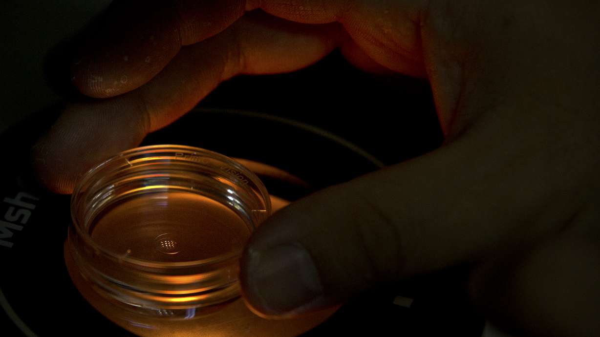 Could anyone have stopped gene-edited babies experiment?