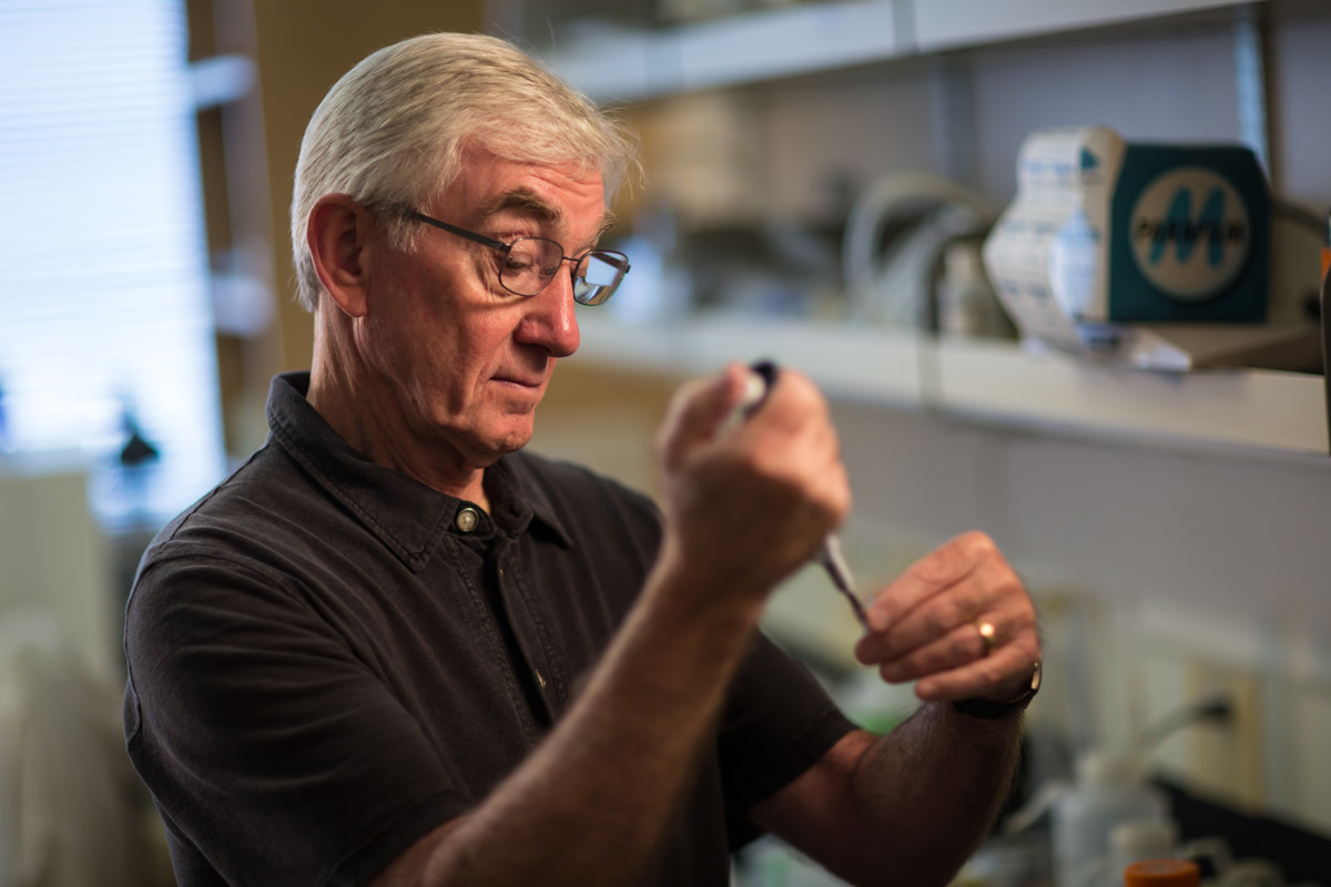 U. researcher says premature use of embryonic gene editing 'shocking'