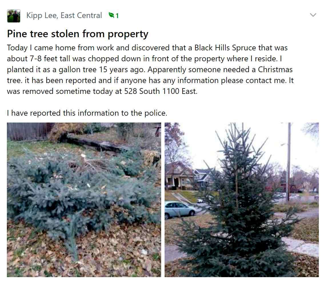 (Photo: Kipp Lee via Nextdoor)