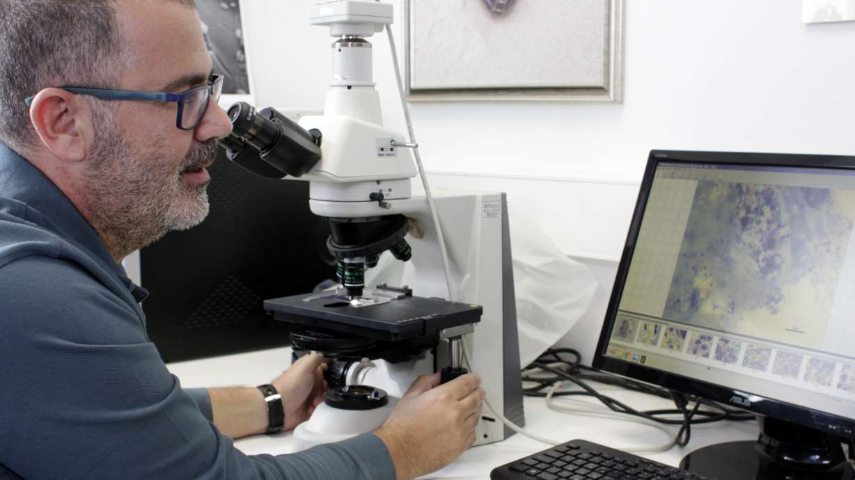 New parasite decimates giant clam species in Mediterranean