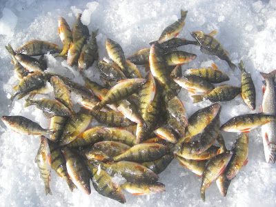 Early season prep to ready you for winter ice fishing