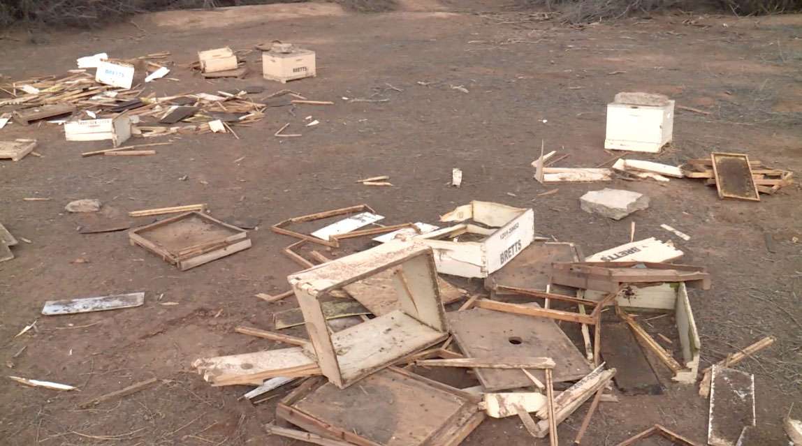 The damage Brett Chamberlain came across on Tuesday. He believes vandals destroyed the beehives around Thanksgiving weekend. (Photo: Marc Weaver, KSL TV)