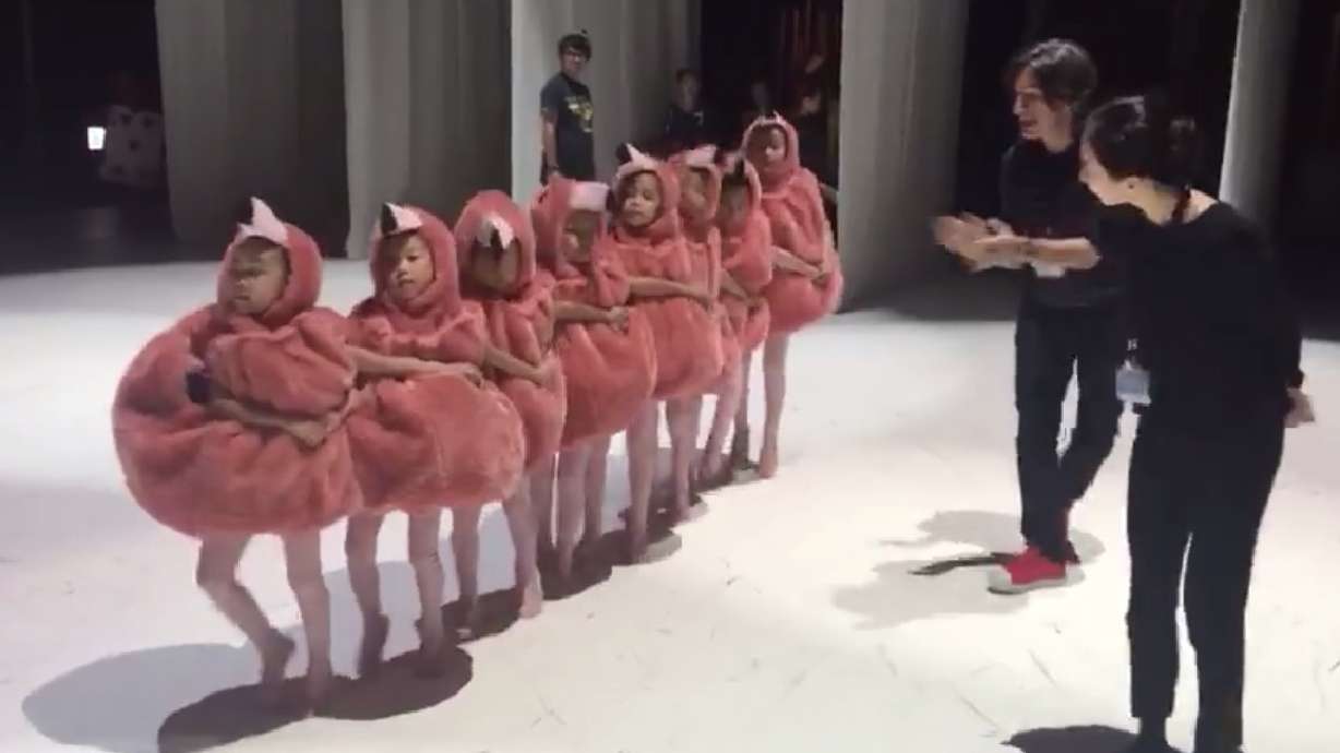 Have You Seen This? Visions of flamingo plums dancing