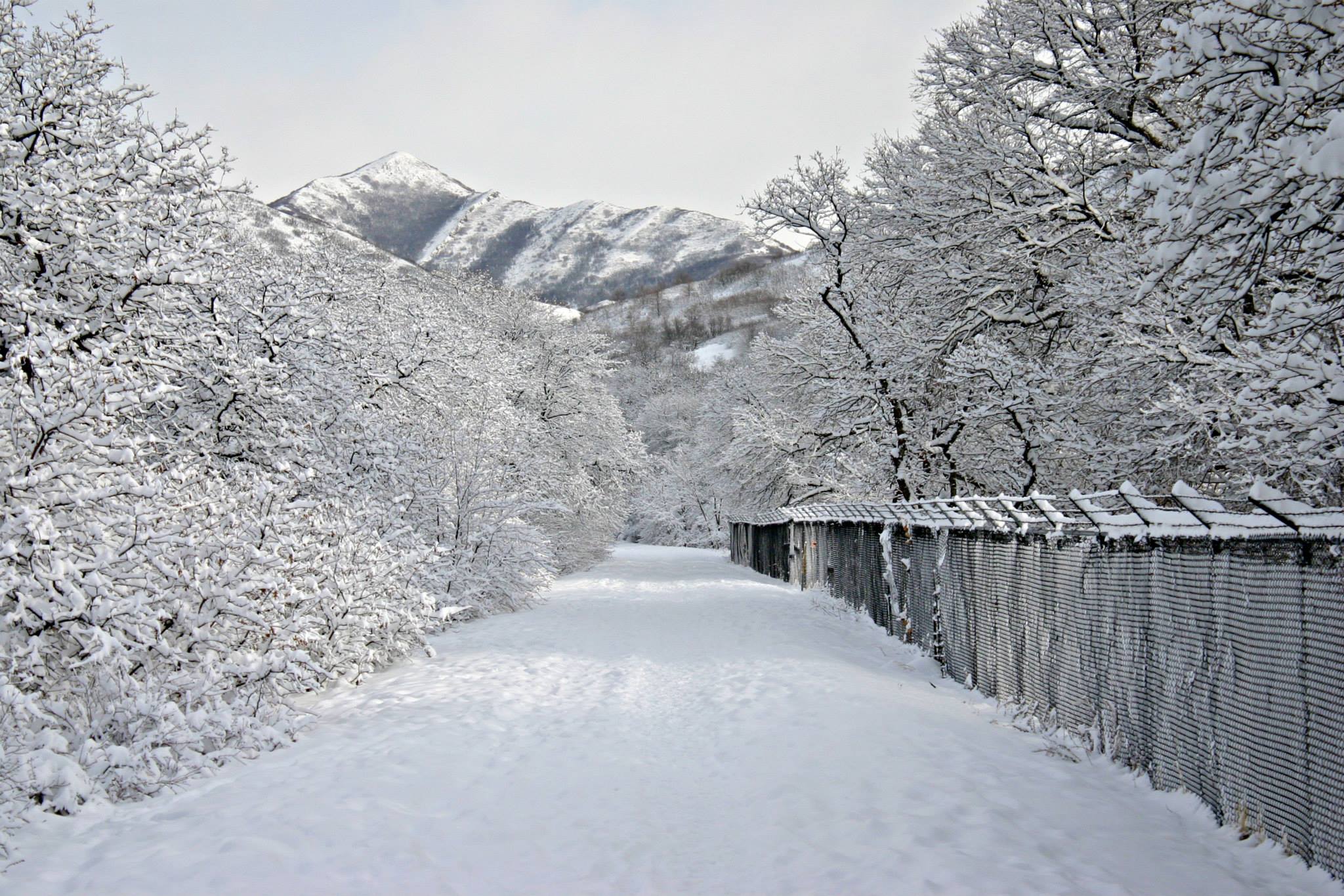 An image from Red Butte Canyon Road after a snow storm on Saturday, Jan. 10, 2015. The mountains in the background are distinct from here.