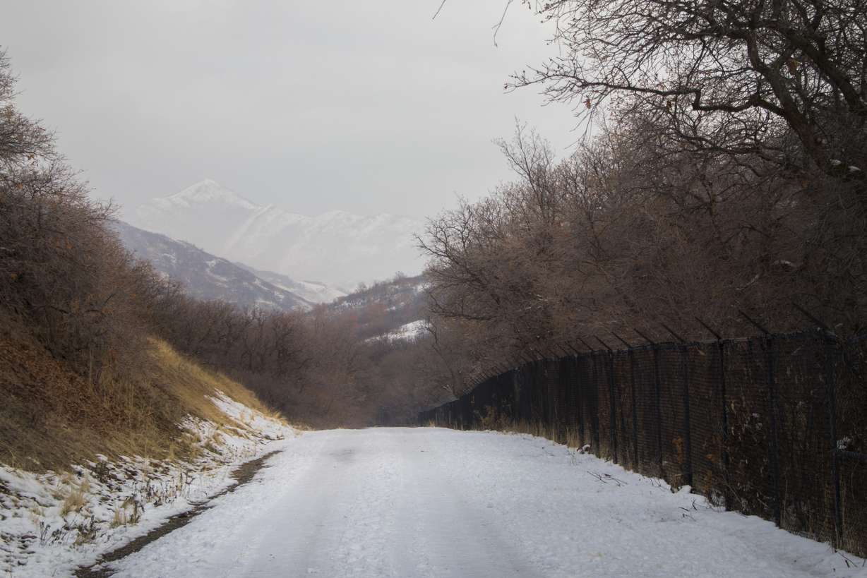 An image from Red Butte Canyon Road after a snow storm on Saturday, Dec. 8, 2018. The mountains in the background are much less clear from here.