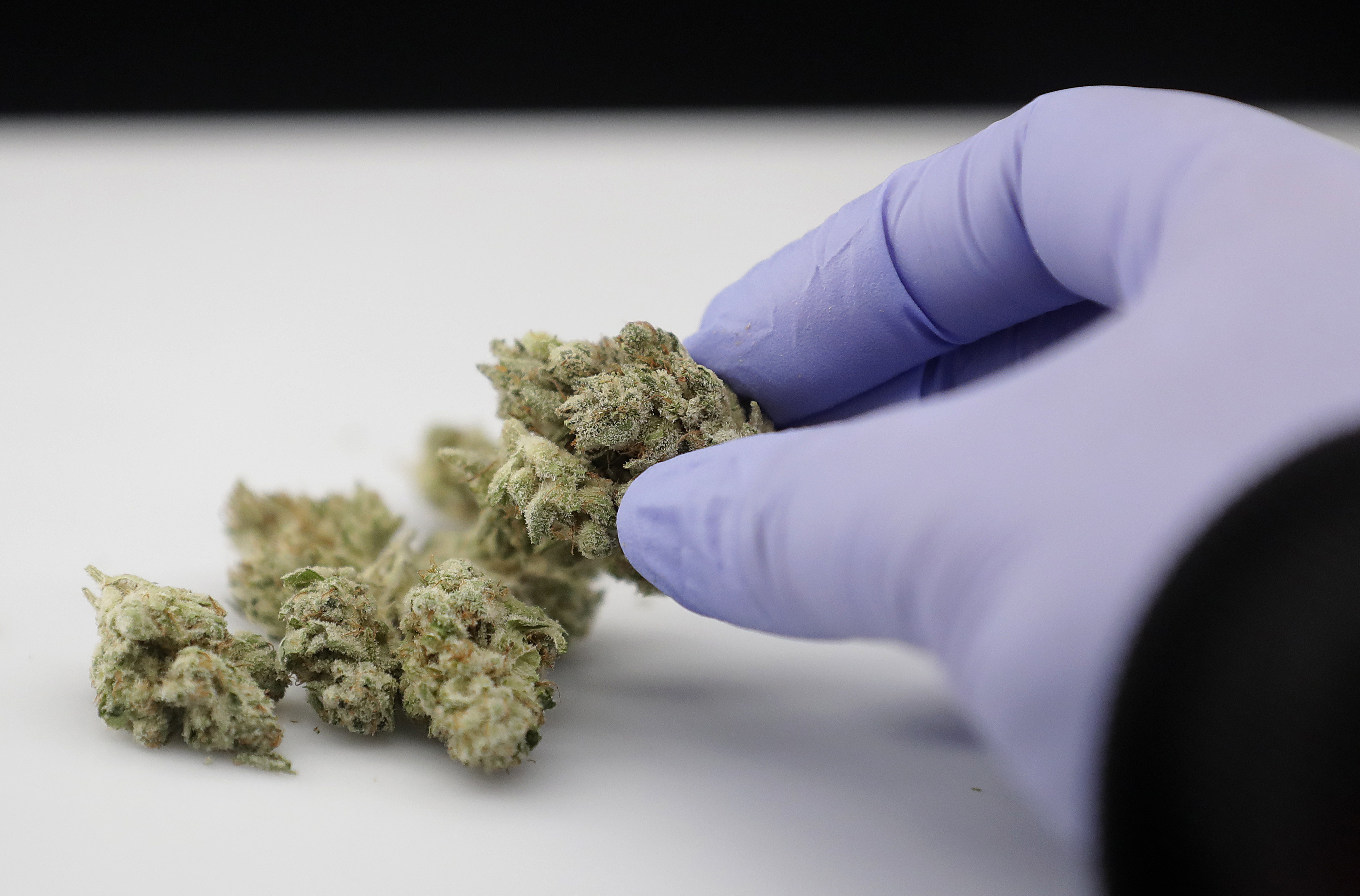 AG's office responds to court petition seeking referendum on medical marijuana compromise bill