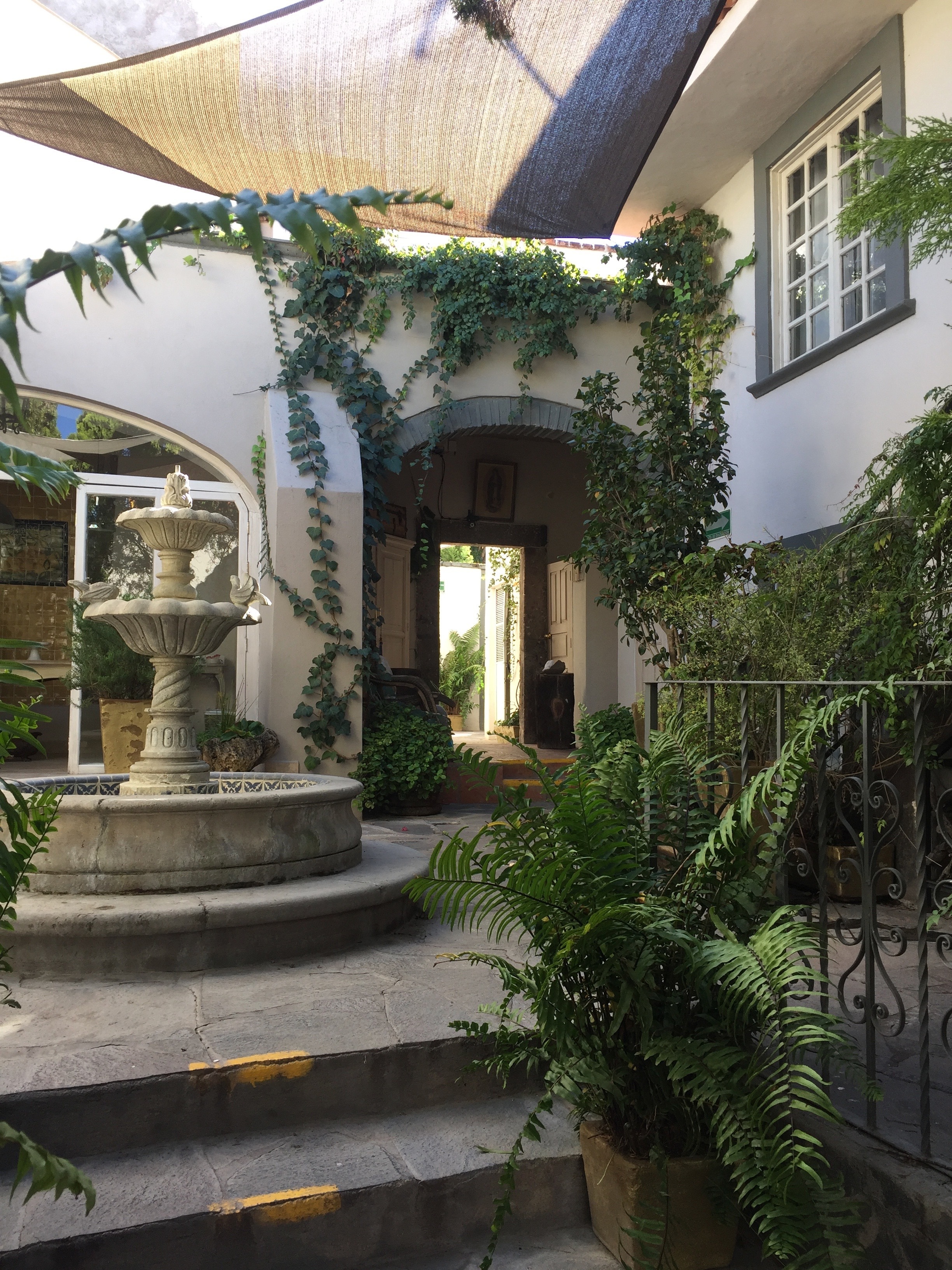 Courtyard gardens: a kind of paradise behind faded walls