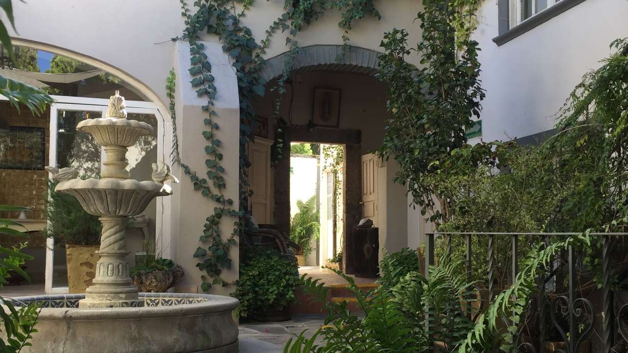 Courtyard gardens: a kind of paradise behind faded walls