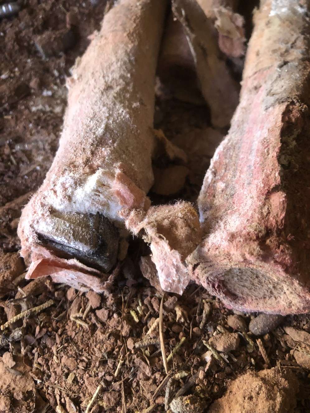 According to the Sevier County Sheriff's Office, two hikers found a cache of dynamite along with several pieces of clothing, tools, a gun, pots and pans, and some aspirin in an alcove under a cliff in Strawberry Canyon on Friday, Dec. 14, 2018. (Photo: Sevier County Sheriff's Office)