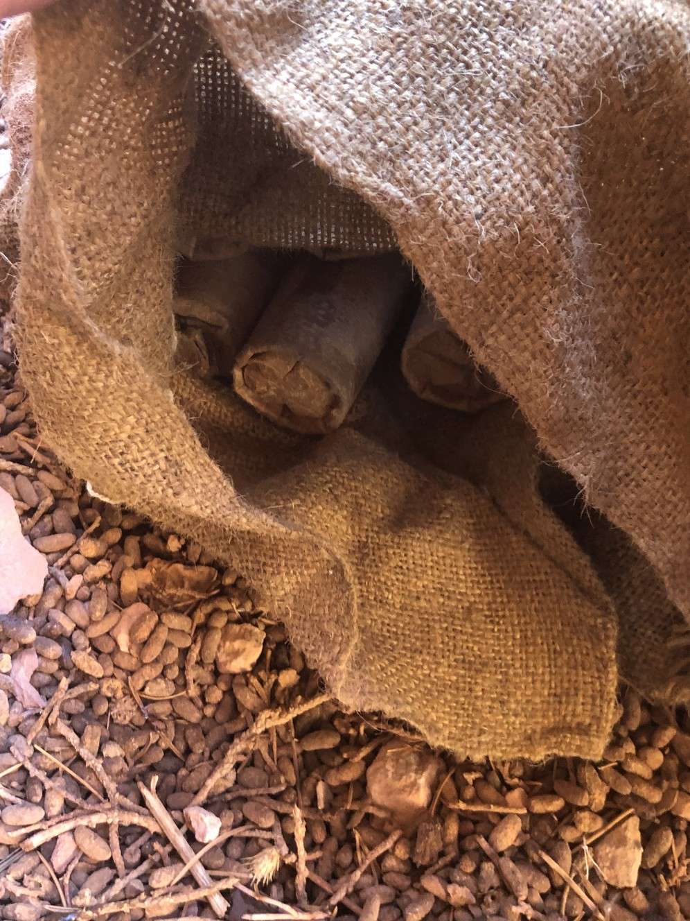 According to the Sevier County Sheriff's Office, two hikers found a cache of dynamite along with several pieces of clothing, tools, a gun, pots and pans, and some aspirin in an alcove under a cliff in Strawberry Canyon on Friday, Dec. 14, 2018. (Photo: Sevier County Sheriff's Office)