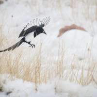 Pics of the Week: Winter scenes across Utah