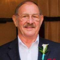 Man chasing dog into road dies after hit-and-run crash