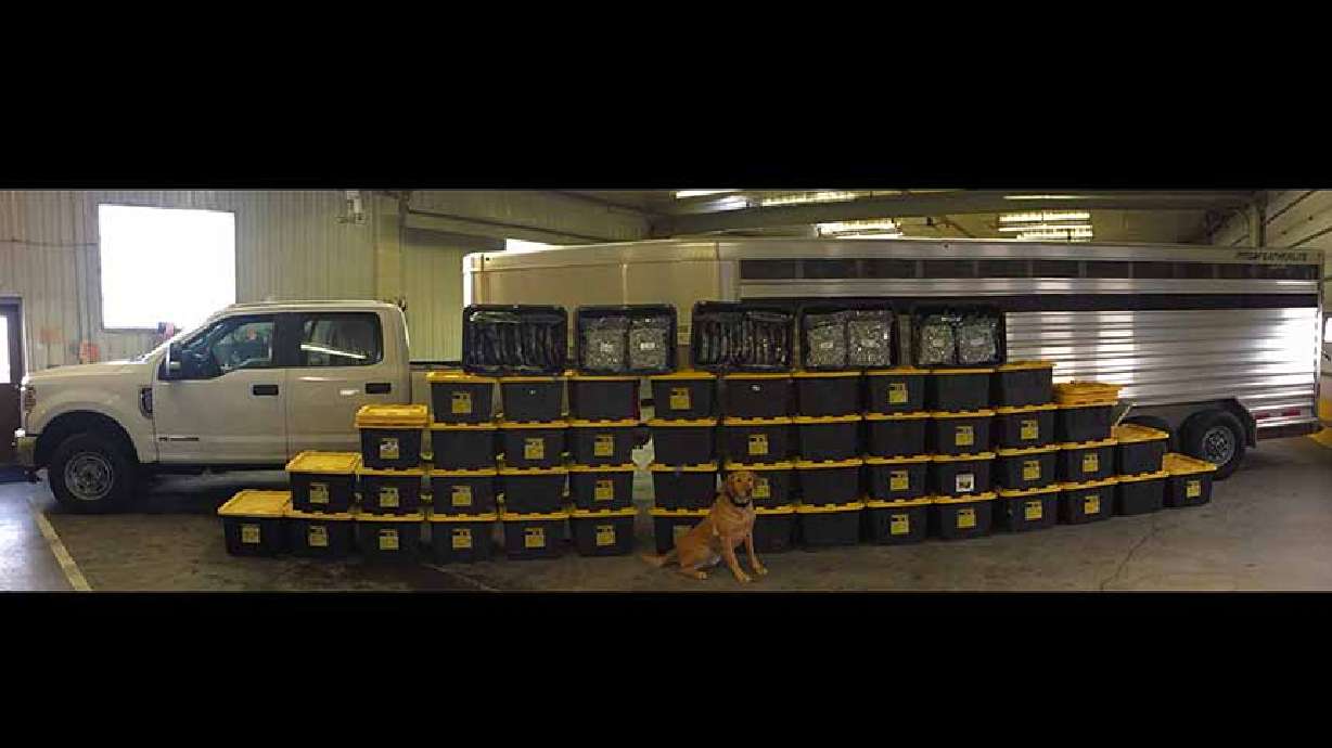 Over $3 million worth of marijuana discovered during east Idaho traffic stop