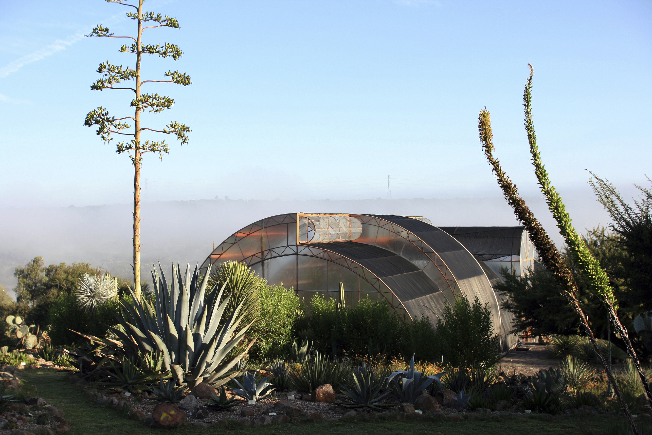 At botanical garden in Mexico, natural species blossom again