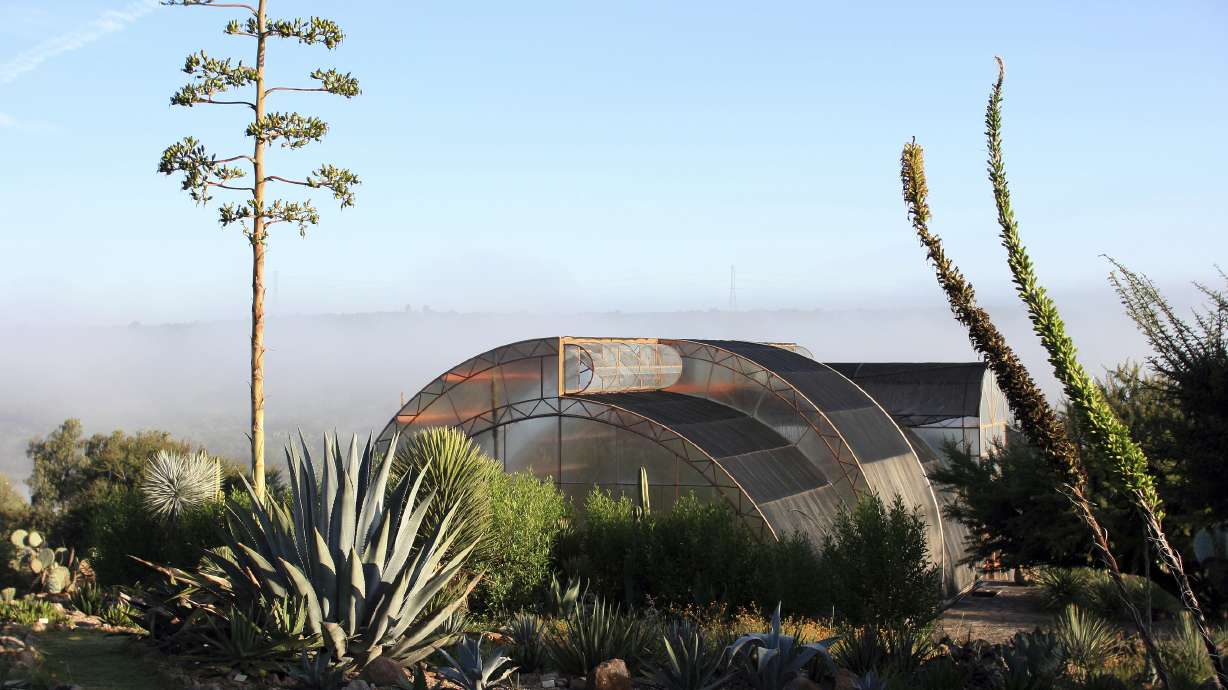 At botanical garden in Mexico, natural species blossom again