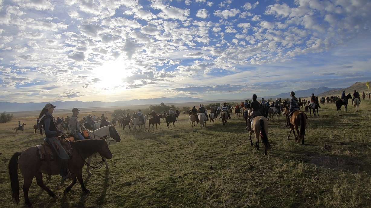 In this Oct. 27, 2018, file photo, riders on horseback start their annual bison roundup, on Antelope Island, Utah. This year, about 700 bison were pushed into corrals during the 32nd year of a roundup that conjures memories of a bygone era of the American West. The animals are rounded up each fall so they can receive health checkups and vaccinations and be affixed with a small external computer chip that stores health information. They are then released back on the island or sold at a public auction to keep the herd at a manageable level of about 500. (AP Photo/Rick Bowmer, File)