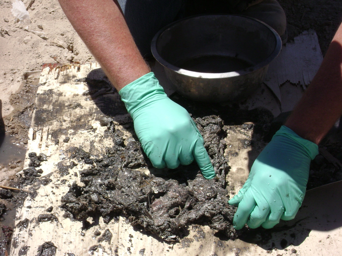 West Valley City police located this buried biological matter at the Cedar Valley Landfill on June 27, 2010. They determined it was not related to the Susan Powell investigation. (Photo: West Valley police)