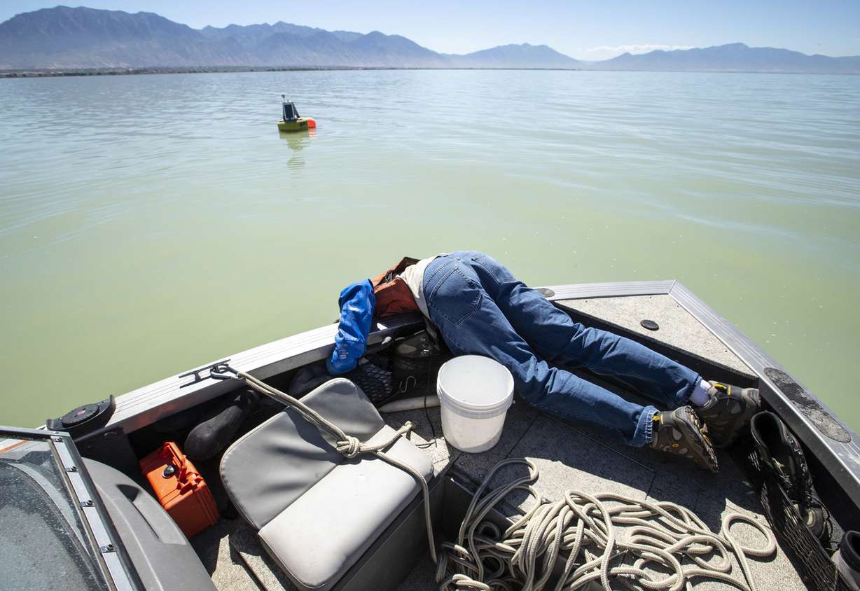 Ryan Parker, a water quality technician for the Utah Division of Water Quality, hangs over a boat as he takes a water sample at Utah Lake in Provo to assess the algal bloom situation on Monday, July 2, 2018. (Photo: Steve Griffin, KSL)