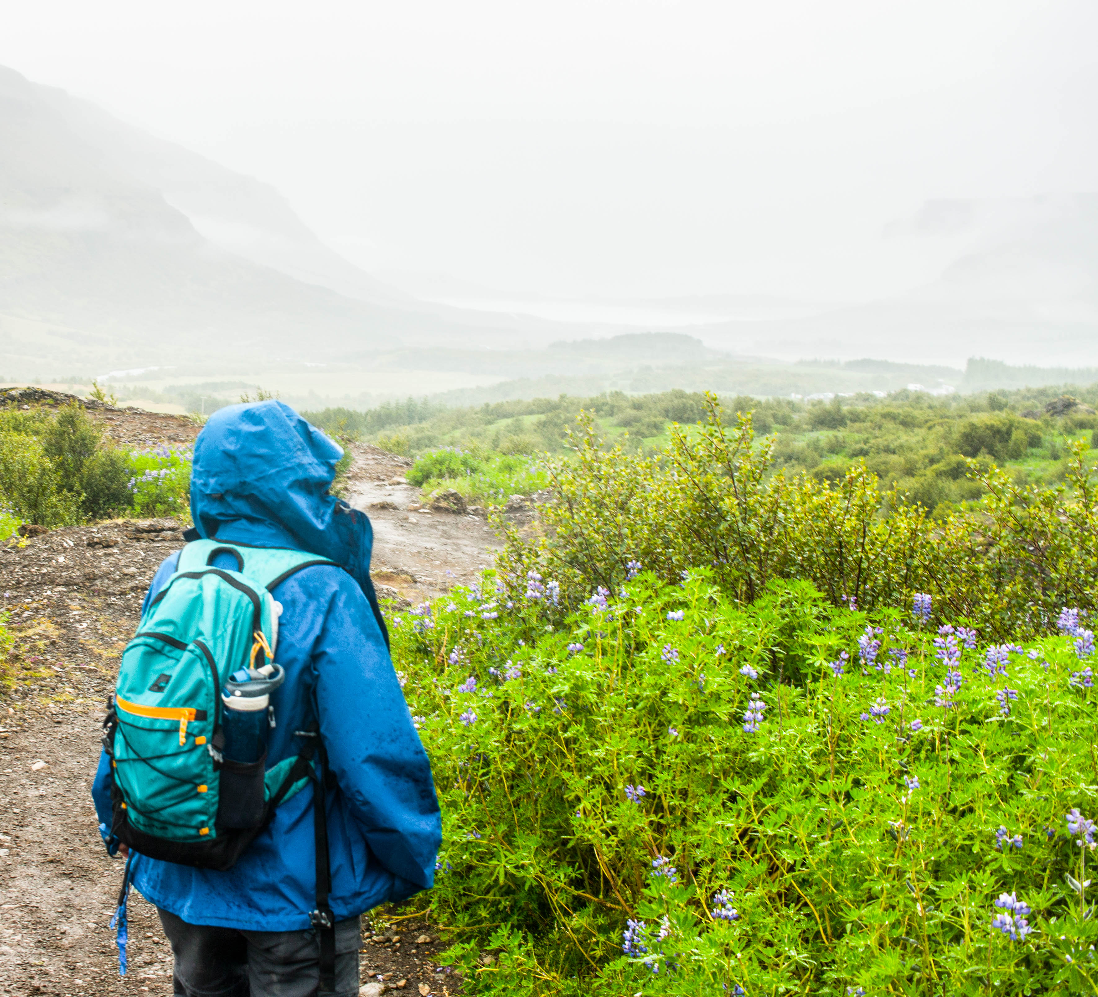 15 simple ways to help the environment