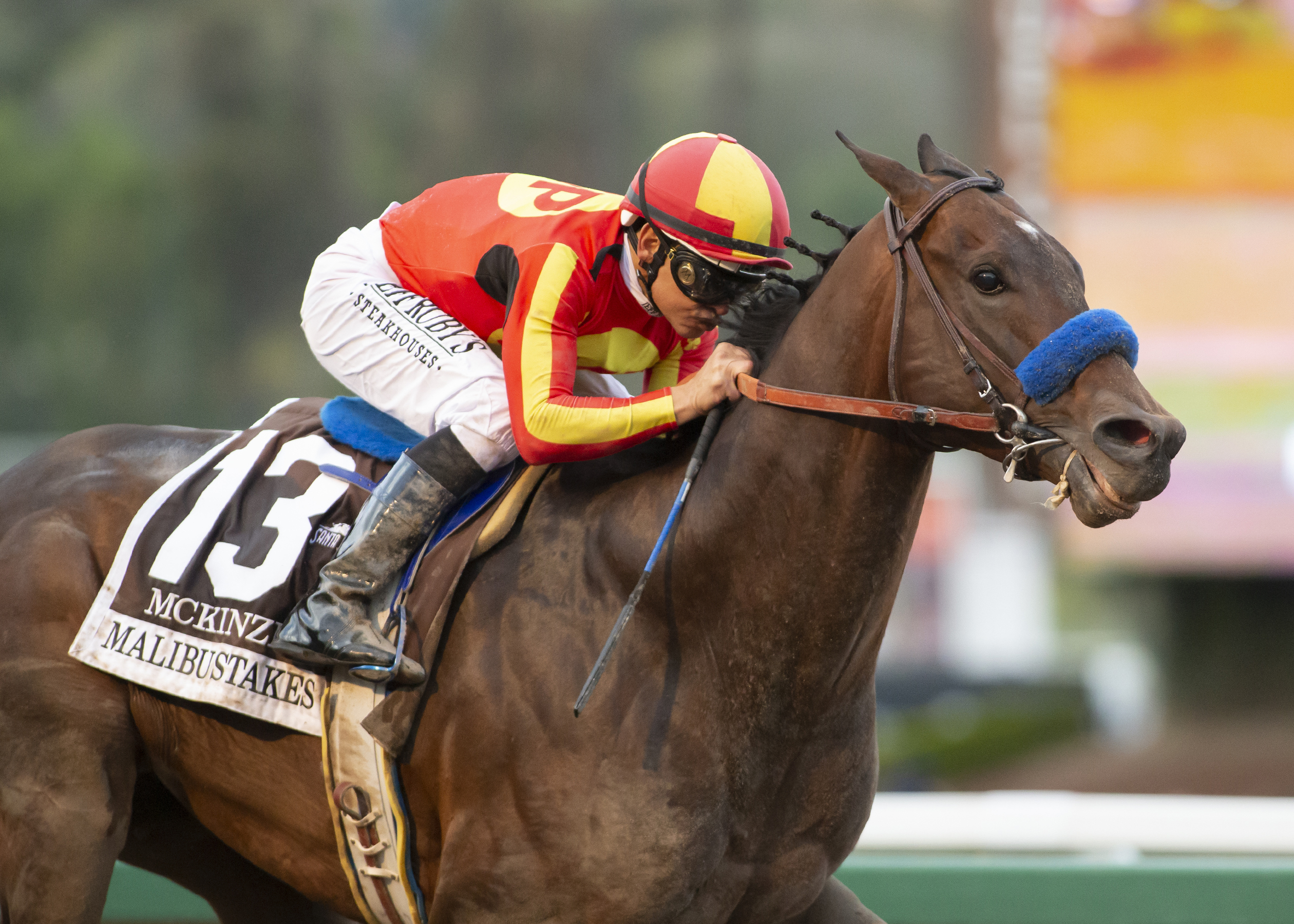 Horse of Year finalists: Justify, Accelerate, Monomoy Girl