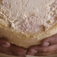 Have You Seen This? World's 'most dangerous' cheese is infested with maggots — on purpose