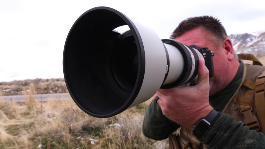 Wildlife diversity attracts photographer, bird watchers to Antelope Island every year
