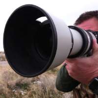 Wildlife diversity attracts photographer, bird watchers to Antelope Island every year