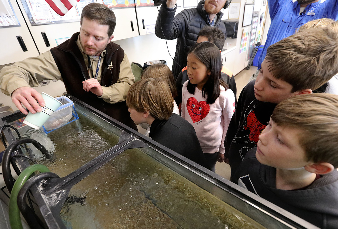 Children in Utah classrooms get a chance to raise rainbow trout from eggs