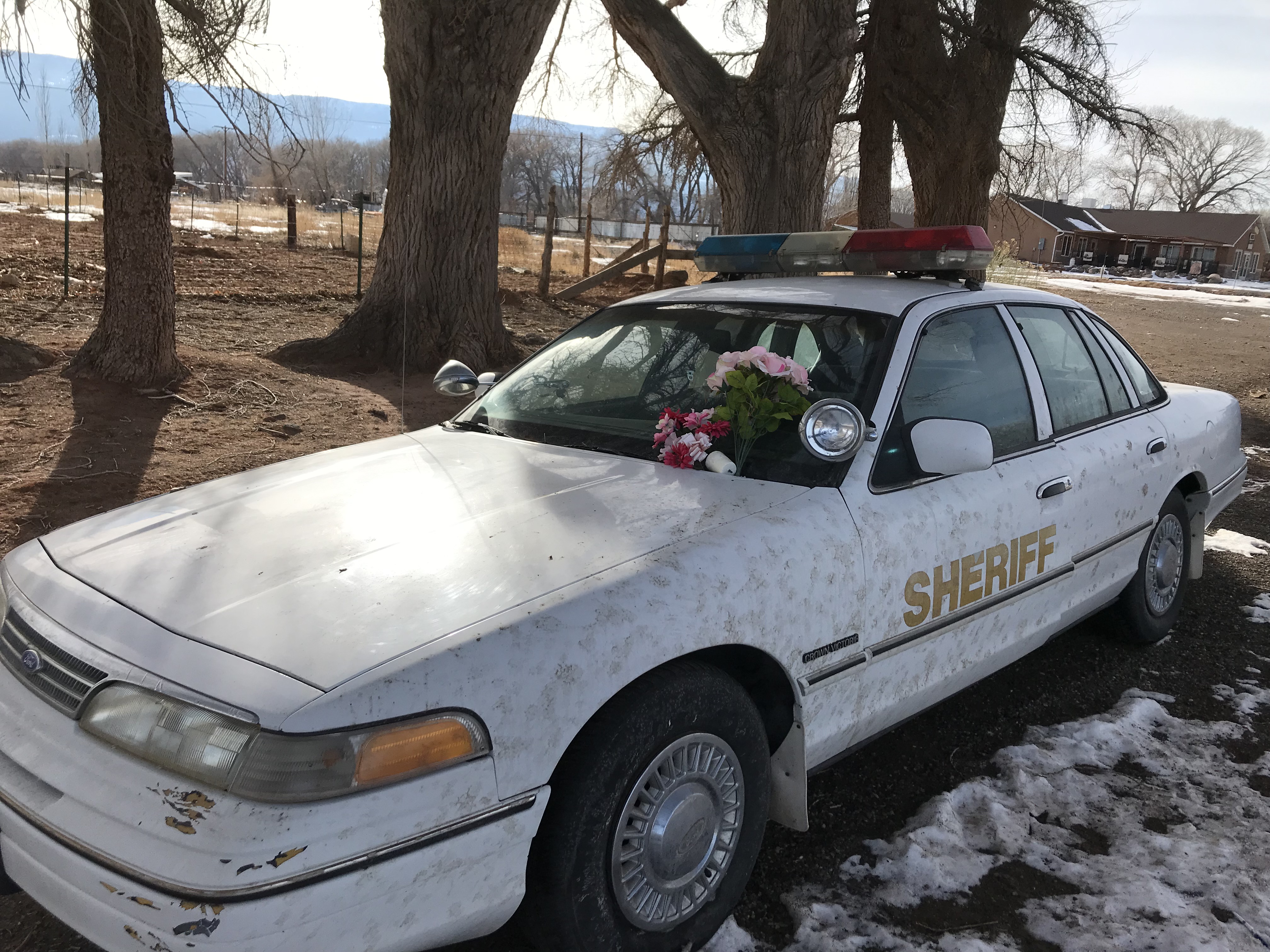 Wayne County retires 'Deputy Dolittle,' seeks new mannequin for the job