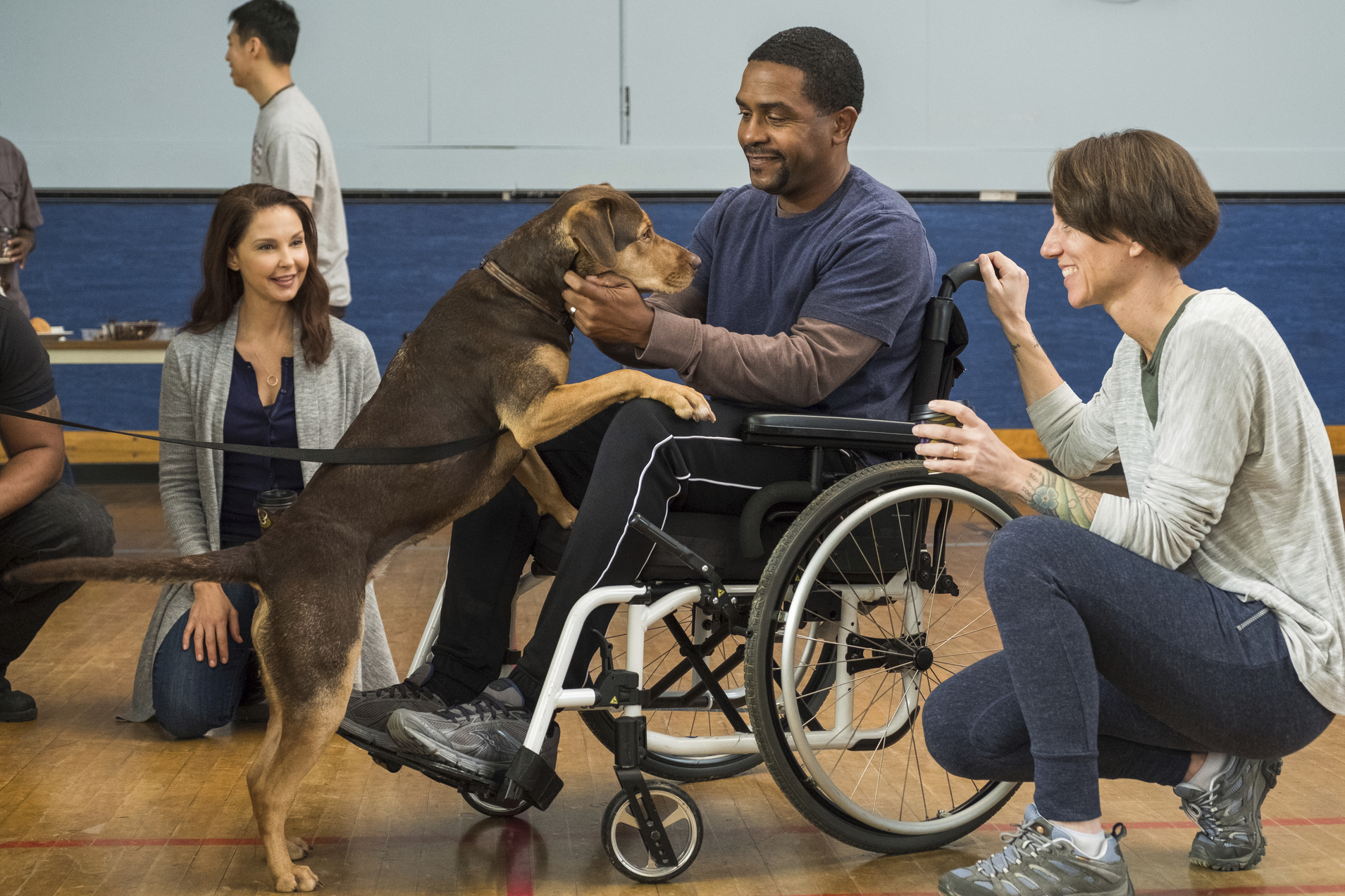 Review: 'A Dog's Way Home' is saccharine and sentimental