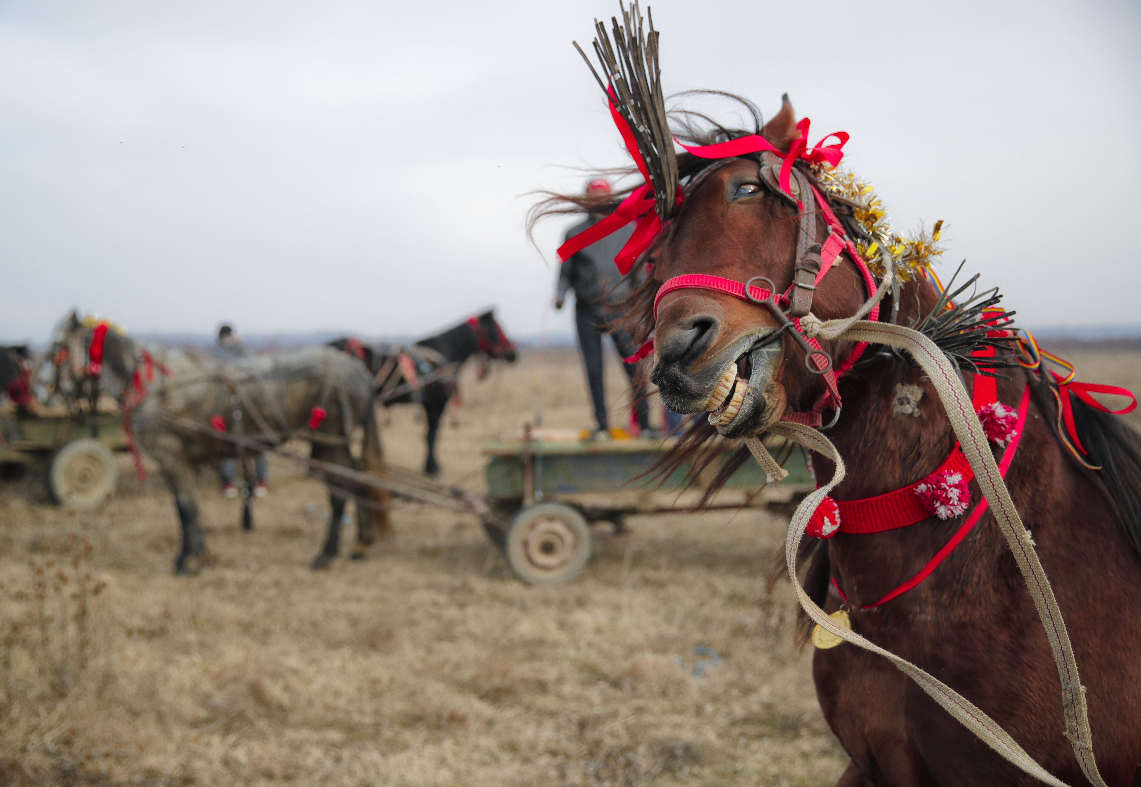 AP PHOTOS: Romanian village holds Epiphany horse race