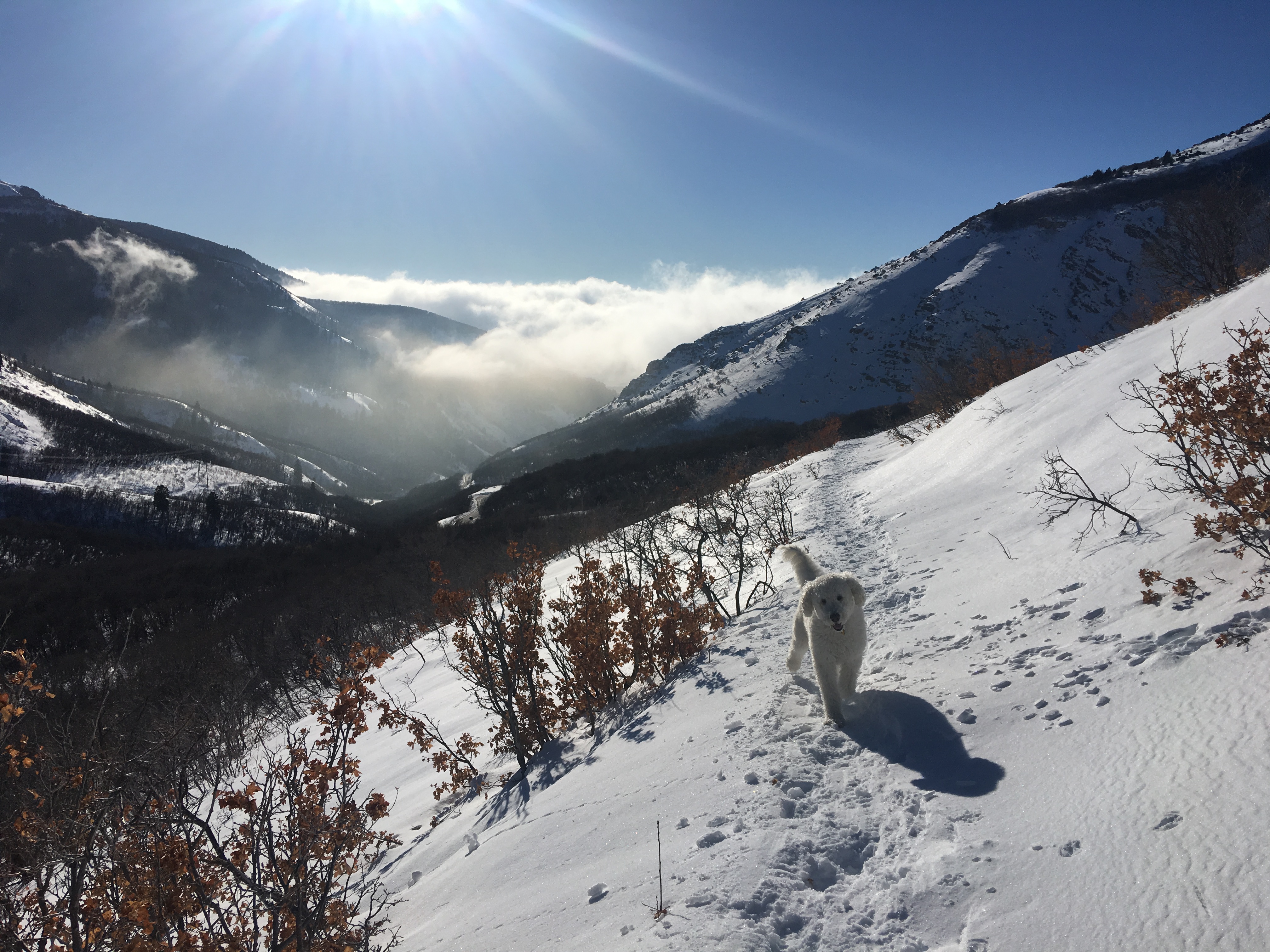 Pics of the Week: Inversion and mountain snow