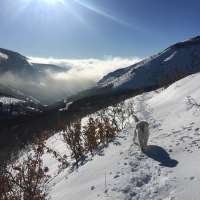 Pics of the Week: Inversion and mountain snow