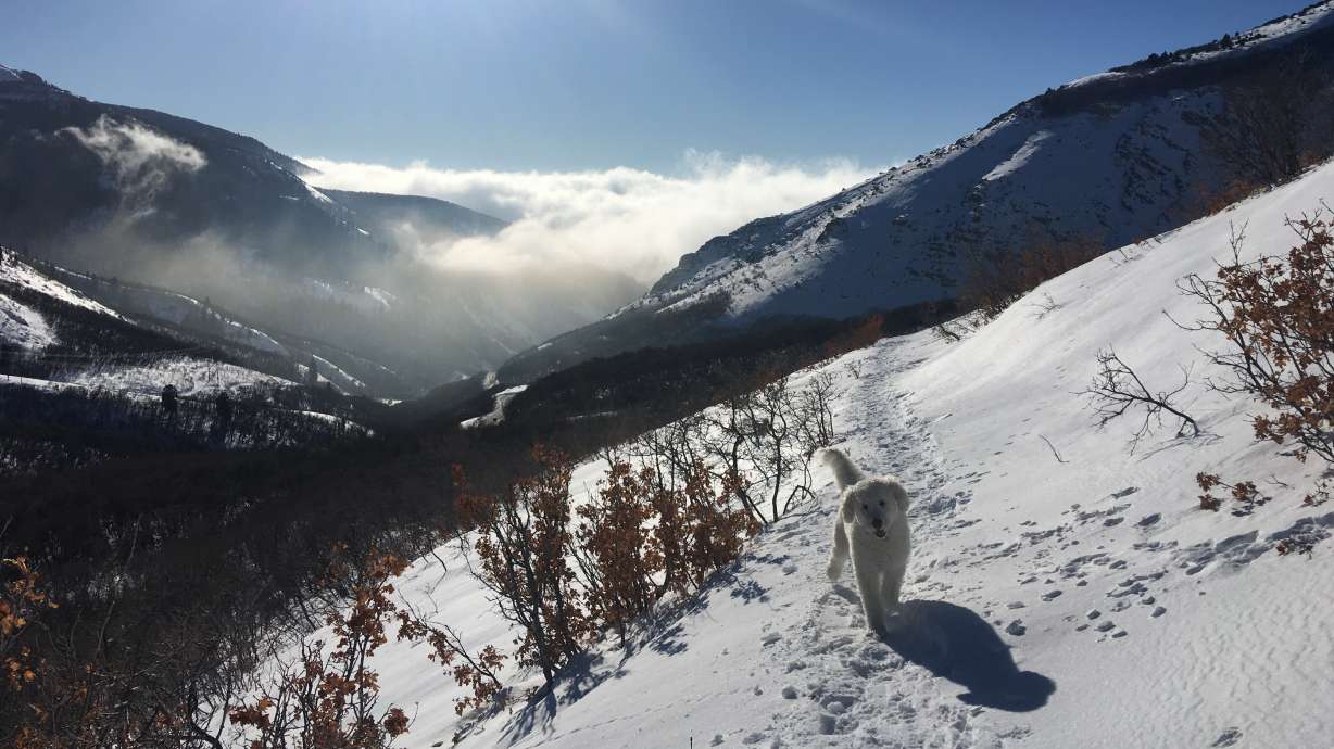 Pics of the Week: Inversion and mountain snow