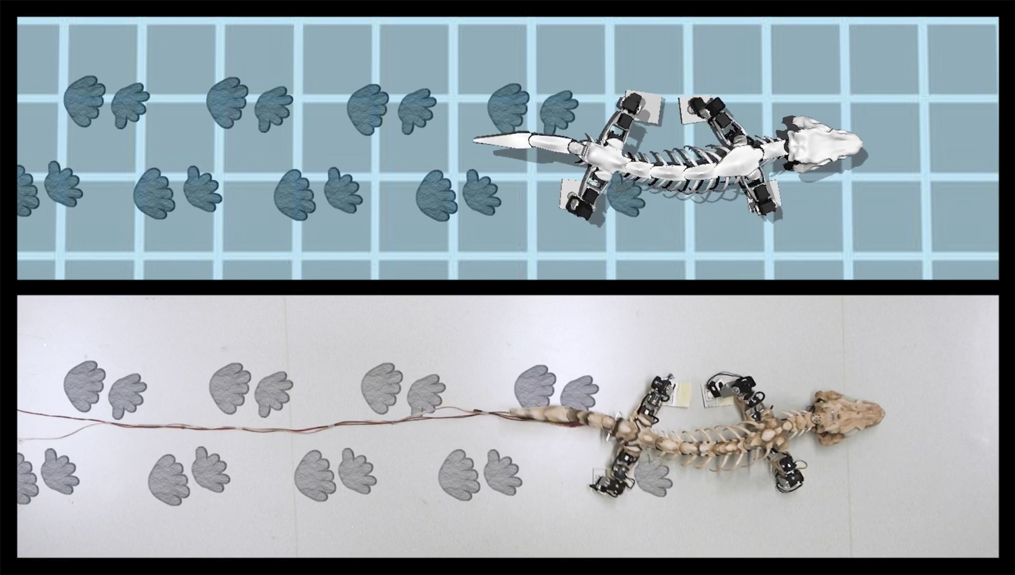 Robot recreates the walk of a 290-million-year-old creature