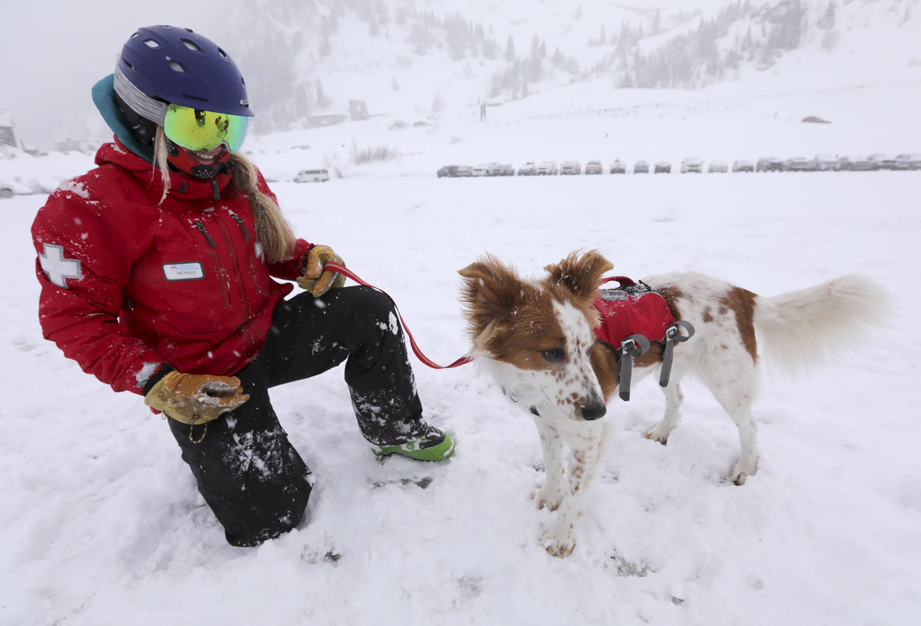 Nichole Dye takes a break with Hatch at Wasatch Backcountry Rescue International Dog School at Alta on Wednesday, Jan. 16, 2019. (Photo: Kristin Murphy, KSL)