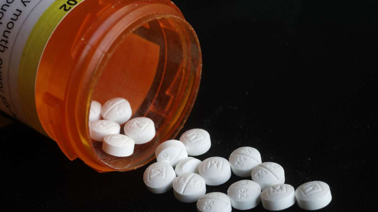 Researchers see possible link between opioids, birth defect