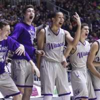 Harding scores 28 to lead Weber State past Montana St. 94-82