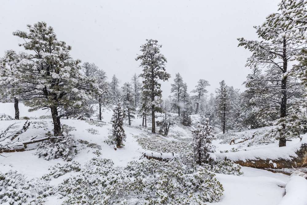 trekandshoot, Shutterstock