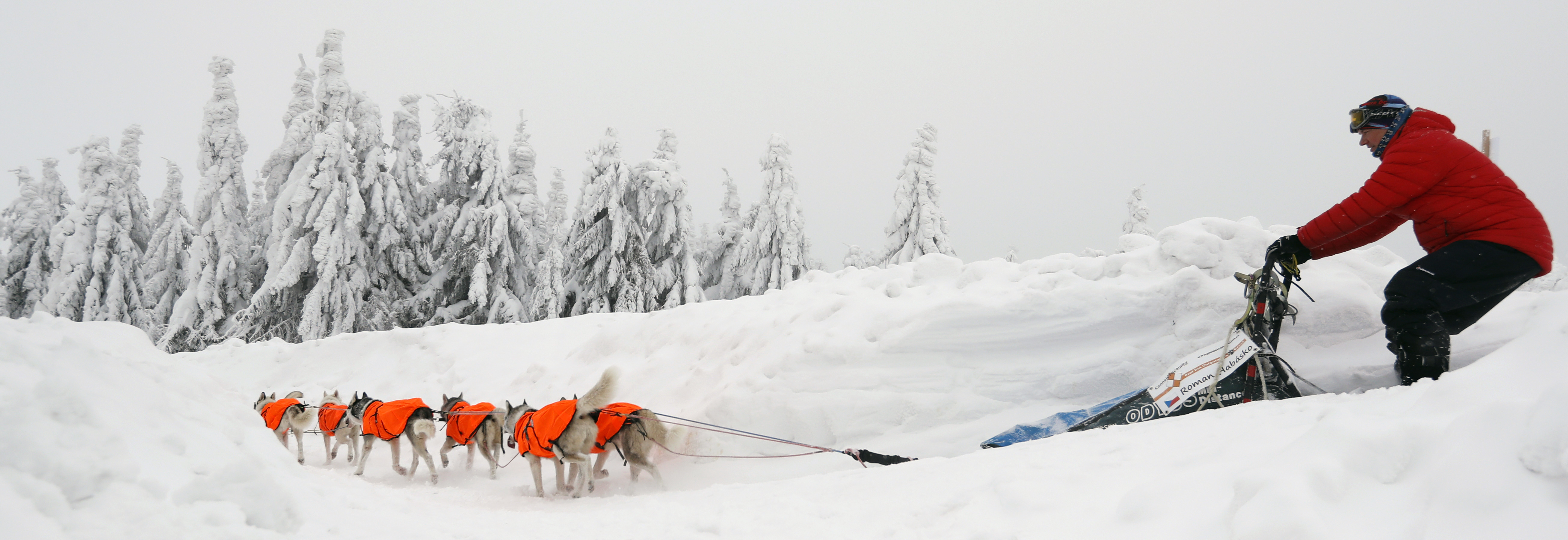 AP PHOTOS: Czech dog sled race hit by severe weather