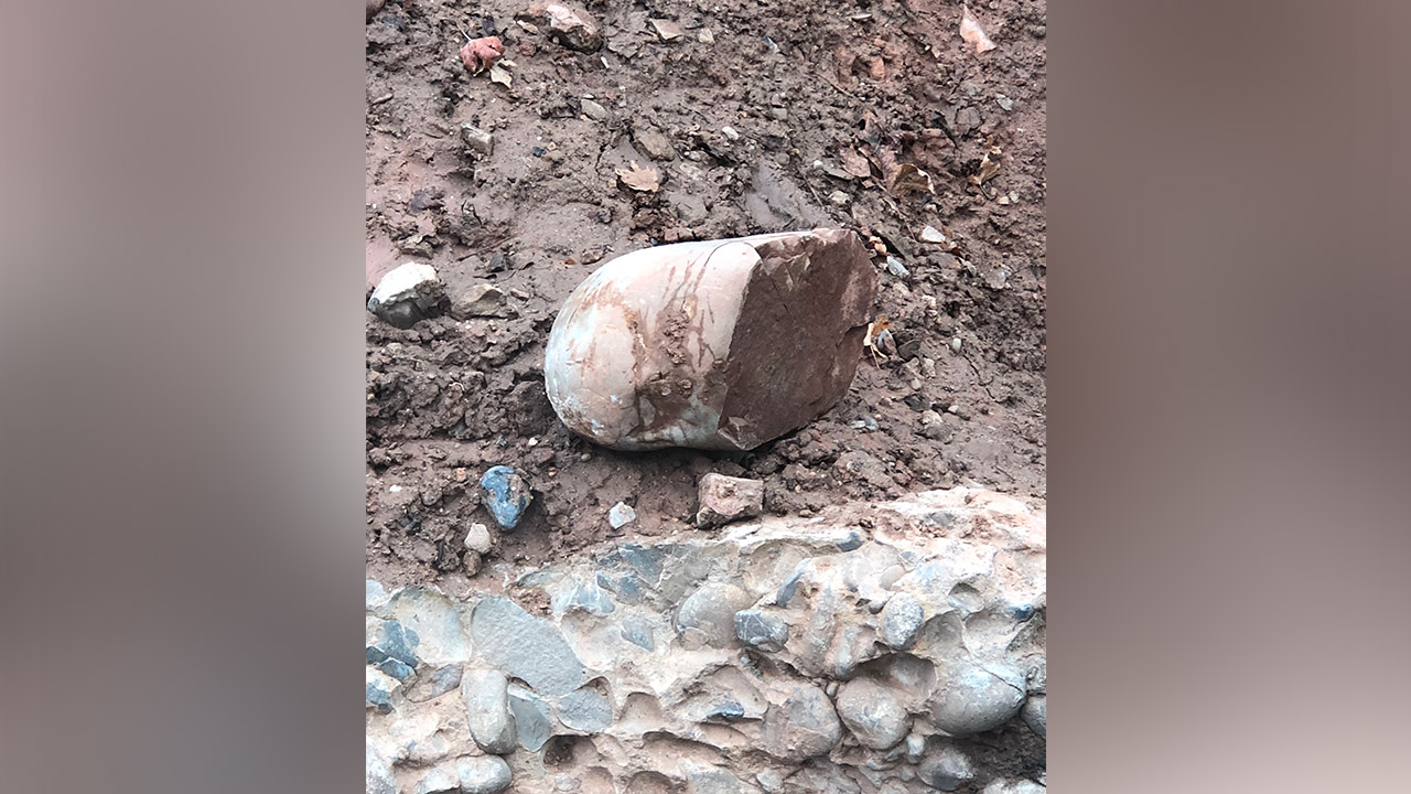 (Photo: Courtesy of Shalee Booker)