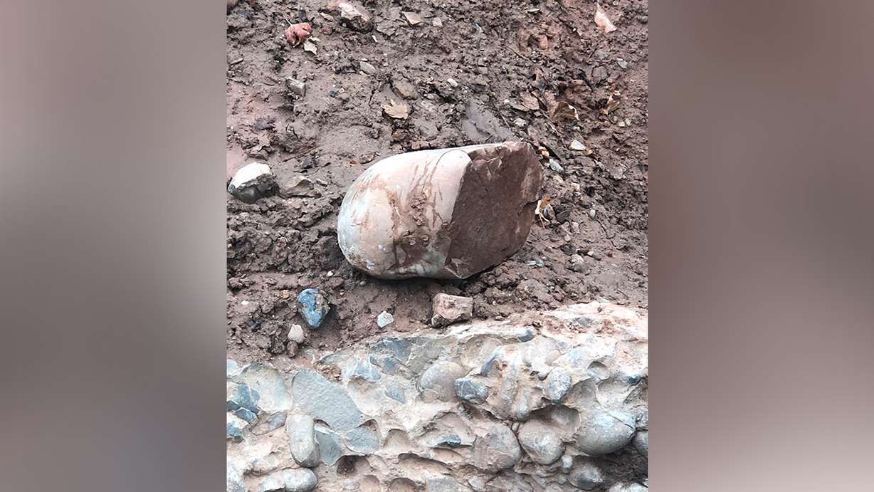 (Photo: Courtesy of Shalee Booker)