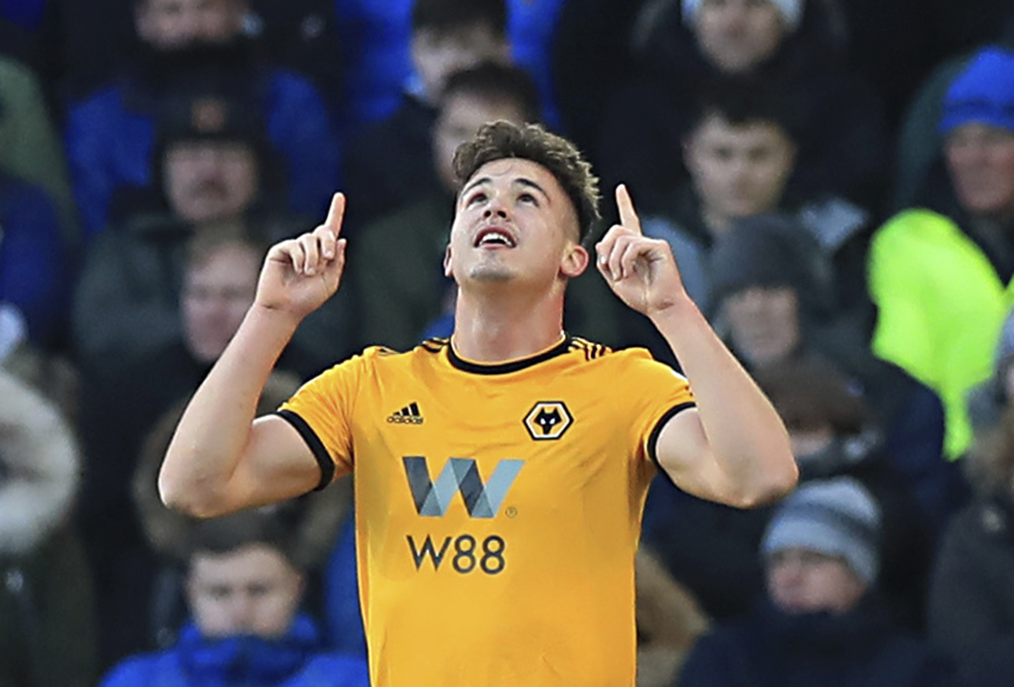 Cat stops play as wobbling Everton loses to Wolves 3-1