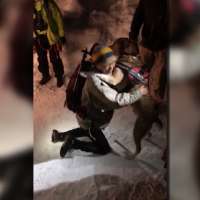 Dog survives 40-foot fall in Provo Canyon