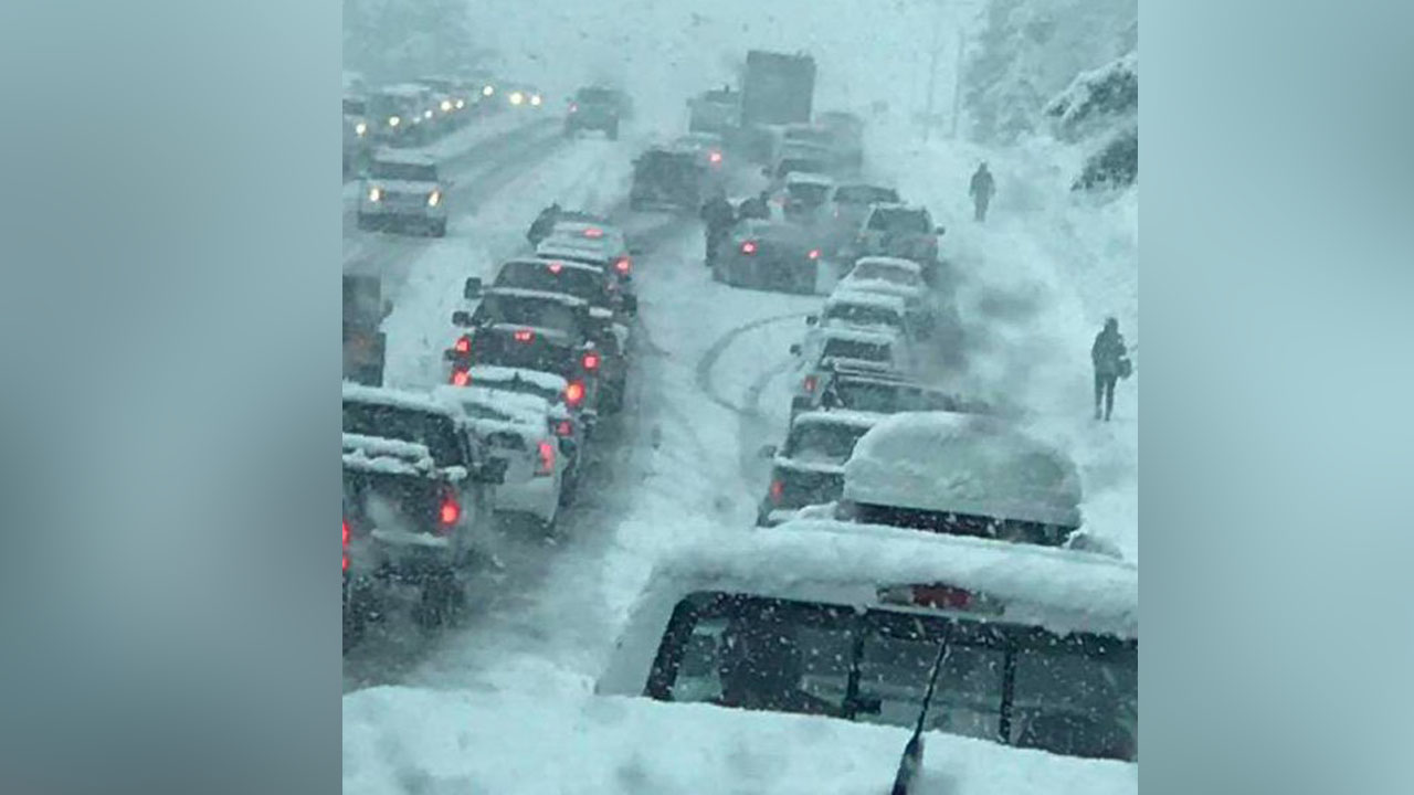 Seattle almost reached its yearly amount of snowfall in a day