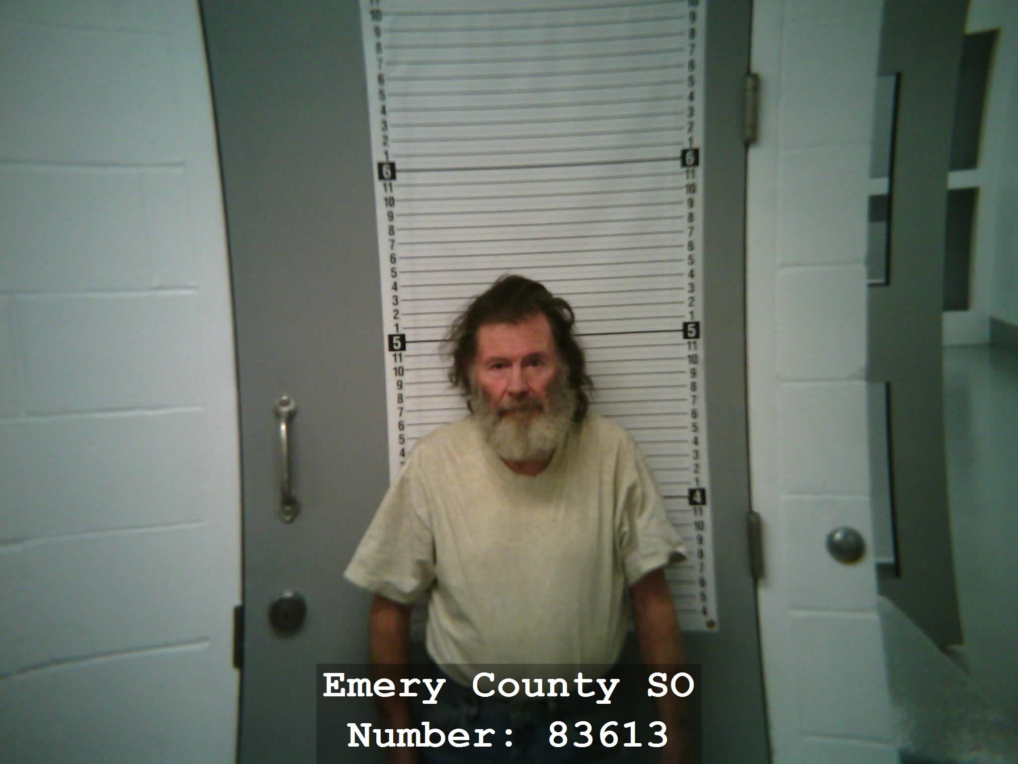 Utah driver accused of fleeing, mooning, flipping