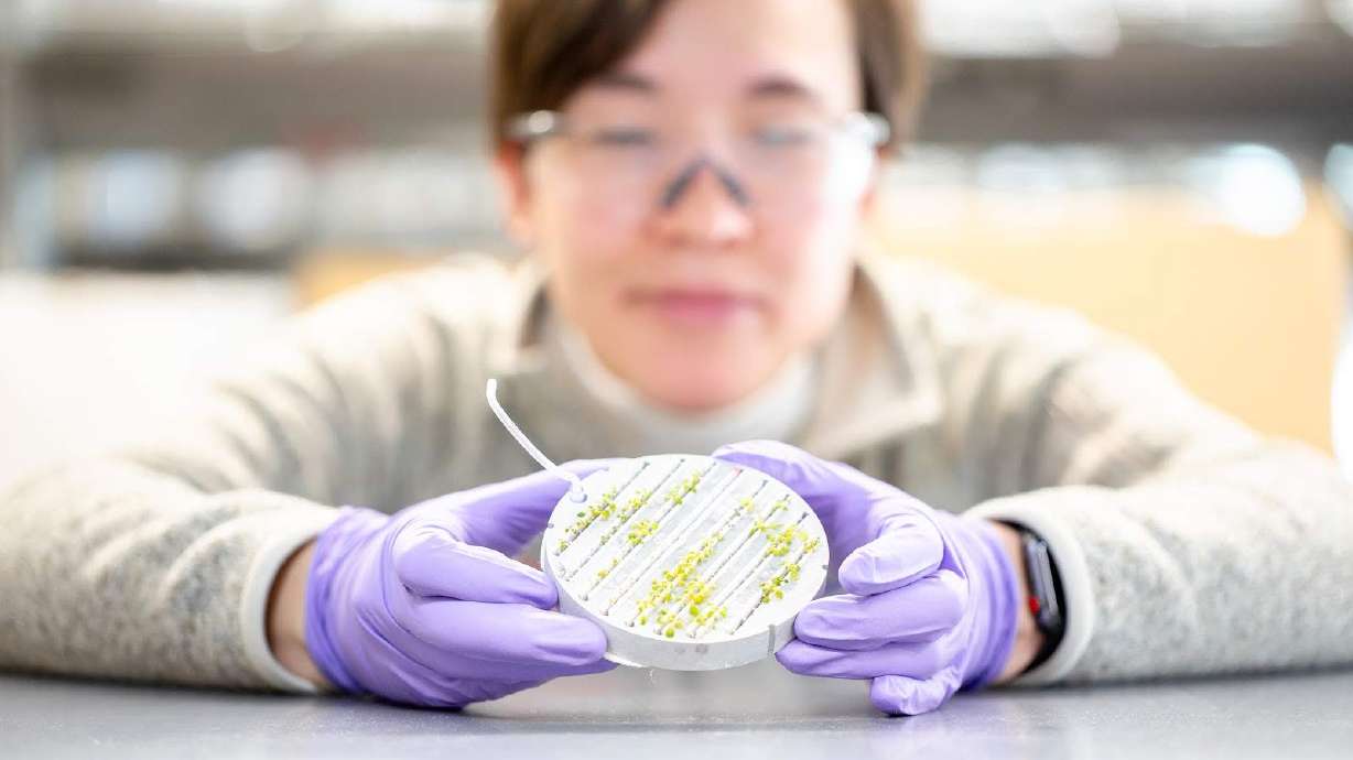 U. professor successfully grows plants on space station